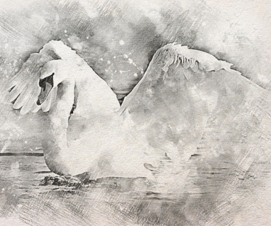 Характер народженого в Чертозі Лебедя