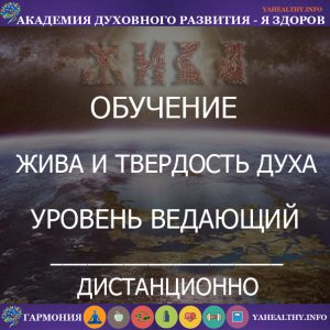 7.3 «Жива і Твердість ДУХу - Рівень Ведучий»
